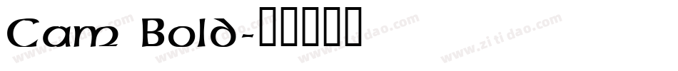 Cam Bold字体转换